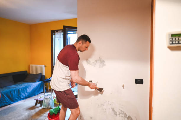 Best Residential Mold Remediation in Anna, OH